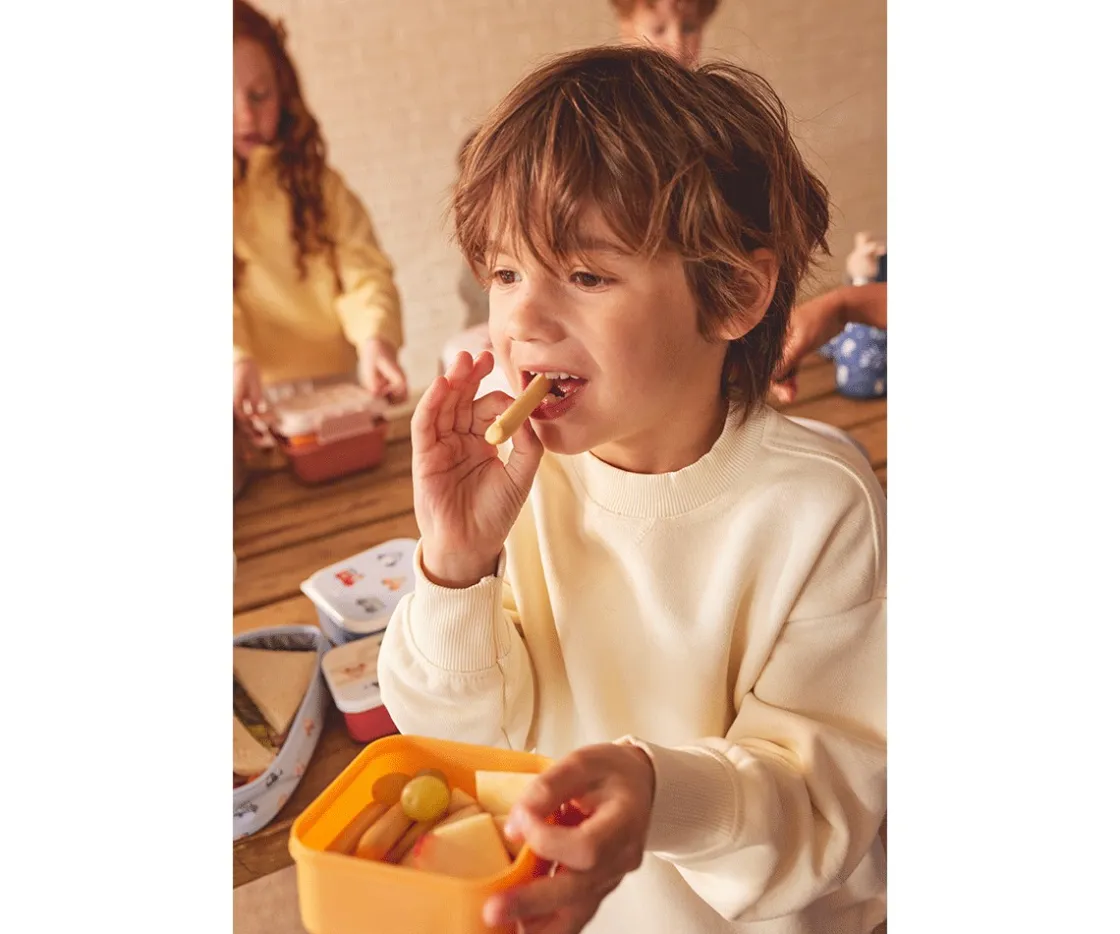 Tutete 3 Cajas Almuerzo Geometric Nature