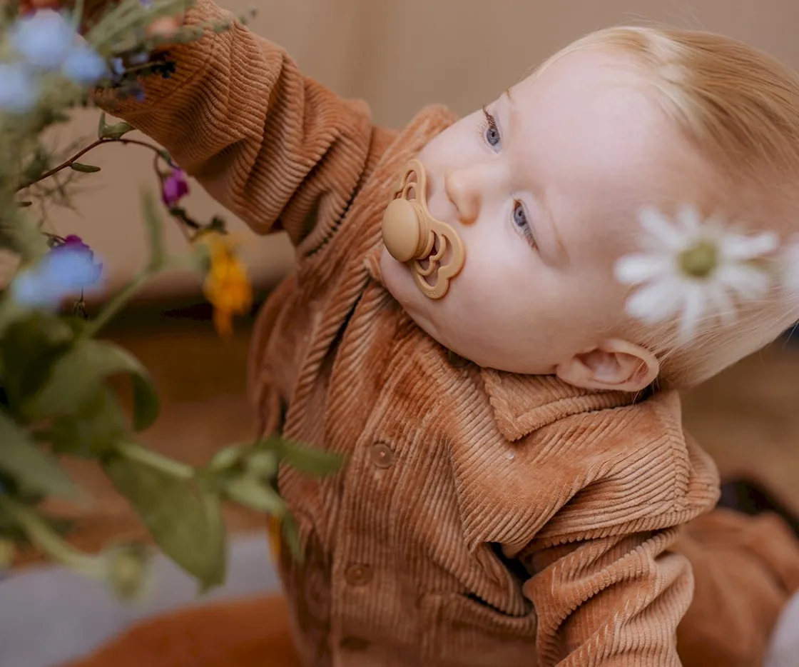 BIBS 2 Chupetes Supreme Papaya/Violet Sky^ Chupetes Con Diseños