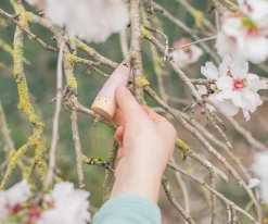 Grapat 18 Palos Arcoiris^Niños Juguetes Bebé 6 Meses