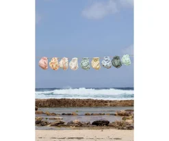 Lassig Bañador Pañal Surfboards^ Bañadores Pañal