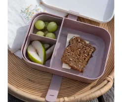 Sebra Caja de Almuerzo Teeny Toes