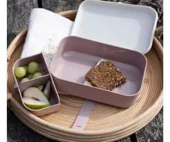 Sebra Caja de Almuerzo Teeny Toes