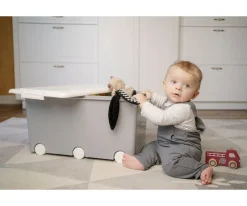 Niños Teggi Caja Multifunción Mediana Old Rose