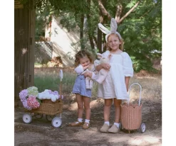 Niños Olli Ella Carrito Ratán Luggy Petal