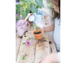 Niños Little Dutch Cubo Metal Fairy Garden
