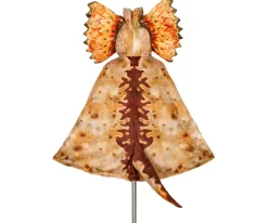 Souza Disfraz Capa Dilophosaurus^Niños Disfraces Para Niños