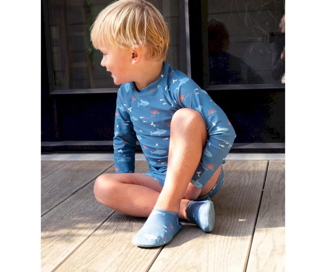 Fresk Escarpines Shark