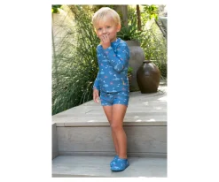 Fresk Escarpines Shark