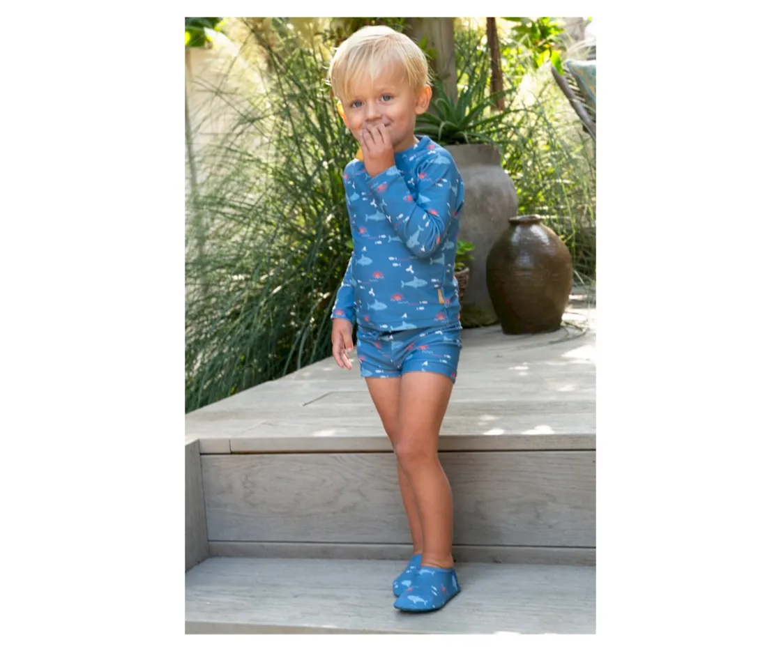 Fresk Escarpines Shark