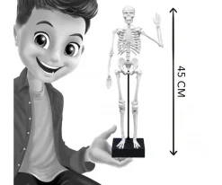 Buki Esqueleto 45 cm^Niños Juguetes Niños 8 Años