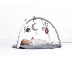 Niños Olmitos Gimnasio de Actividades Grey