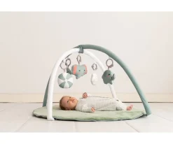 Niños Olmitos Gimnasio de Actividades Mint