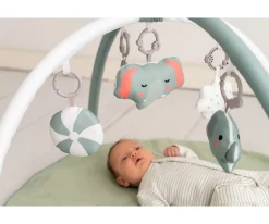 Niños Olmitos Gimnasio de Actividades Mint