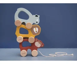 Niños Trixie Juguete Arrastre Mr Lion