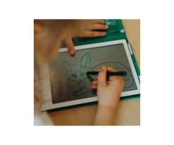 Niños Kidywolf Kidydraw Mini Animaux du Monde