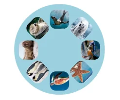 Niños Moses Linterna Proyector Océano