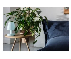 Fatboy Lámpara de Mesa Edison The Ambiance Polar Blue^ Iluminación