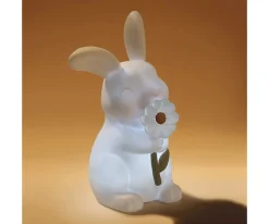 Niños Little Dutch Luz Quitamiedos Conejito