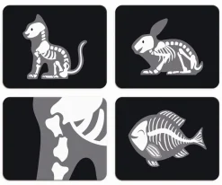 Niños Janod Maletín de Veterinario