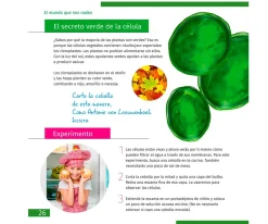Niños Levenhuk Microscopio LabZZ M101 Lima + Libro Educativo