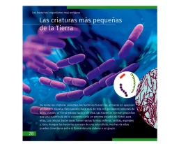 Niños Levenhuk Microscopio LabZZ M101 Lima + Libro Educativo