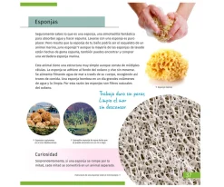 Levenhuk Microscopio LabZZ M101 Naranja + Libro Educativo^Niños Juguetes Niños 6 Años