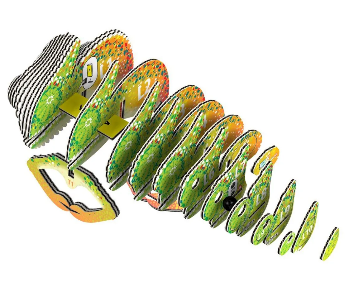 Niños Dodoland Puzzle 3D Eugy Camaleón