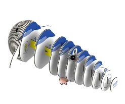 Niños Dodoland Puzzle 3D Eugy Penguin