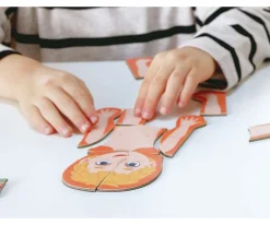 Niños Hape Puzzle Magnético del Cuerpo Humano