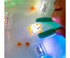 Niños Glo Pals Set de Cubos Sensoriales Lumoinosos Party Zoo