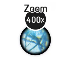 Niños Buki Set Microscopio con 15 Experimentos