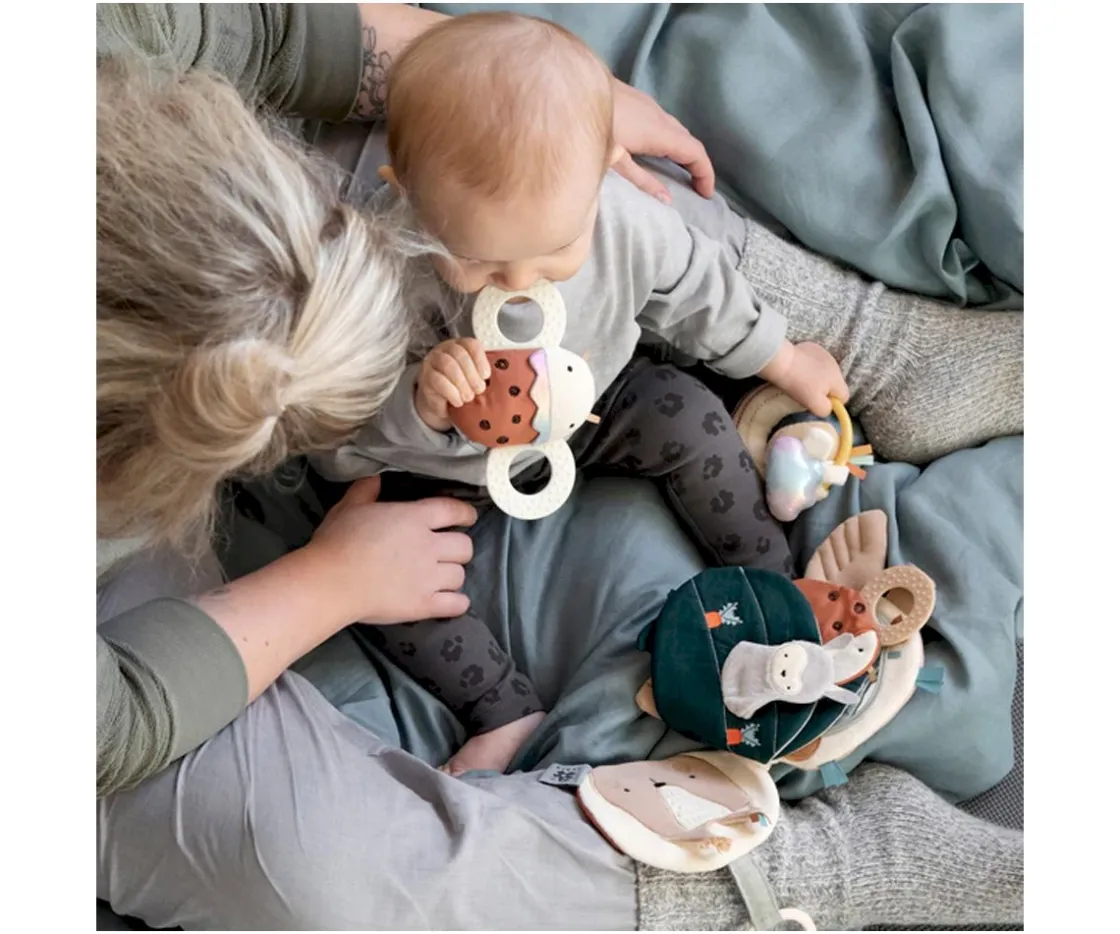 Sebra Sonajero Mordedor con Espejo Luca Ladybird