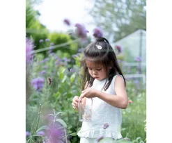 Niños Little Dutch Tarro para Insectos Fairy Garden FSC