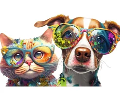 Niños Haba Team Quiz Challenge Gatos vs Perros