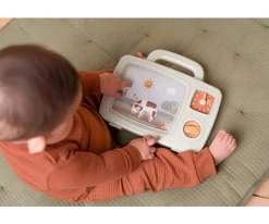 Niños Little Dutch Televisión Musical Little Farm